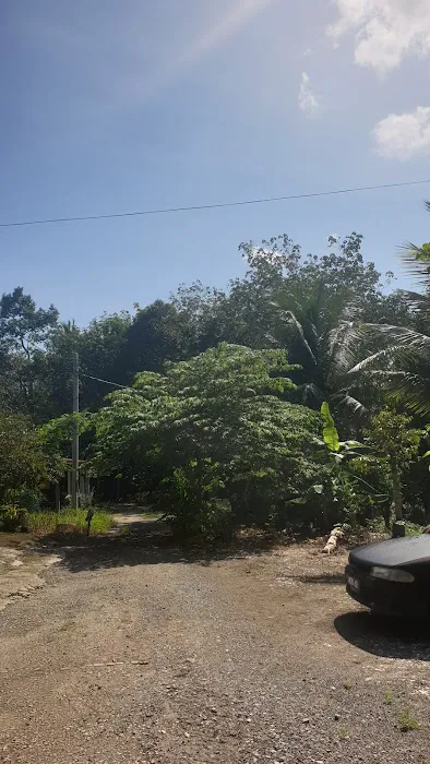 LORONG DOKONG JAMBATAN Picture 1