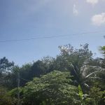 LORONG DOKONG JAMBATAN