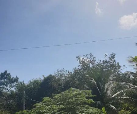 LORONG DOKONG JAMBATAN