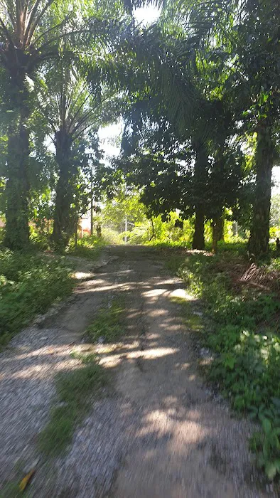 LORONG DOKONG JAMBATAN Picture 9