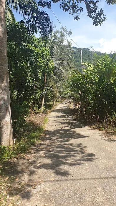 LORONG DOKONG JAMBATAN Picture 10