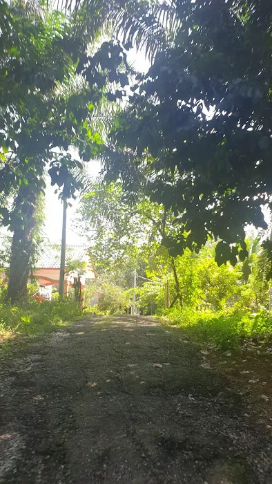 LORONG DOKONG JAMBATAN Picture 8