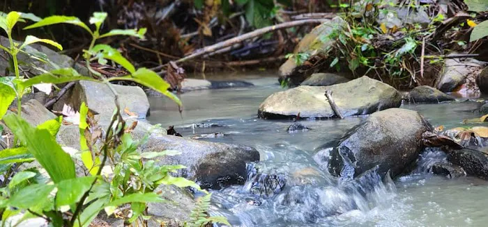 Dusun Eco Hills Raub Picture 3