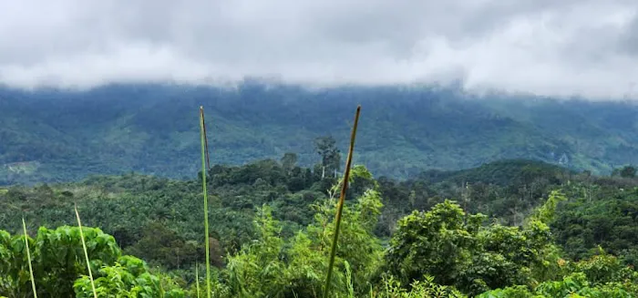 Dusun Eco Hills Raub Picture 5
