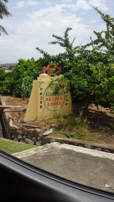 Taman KSM Sg Ruan Picture 2