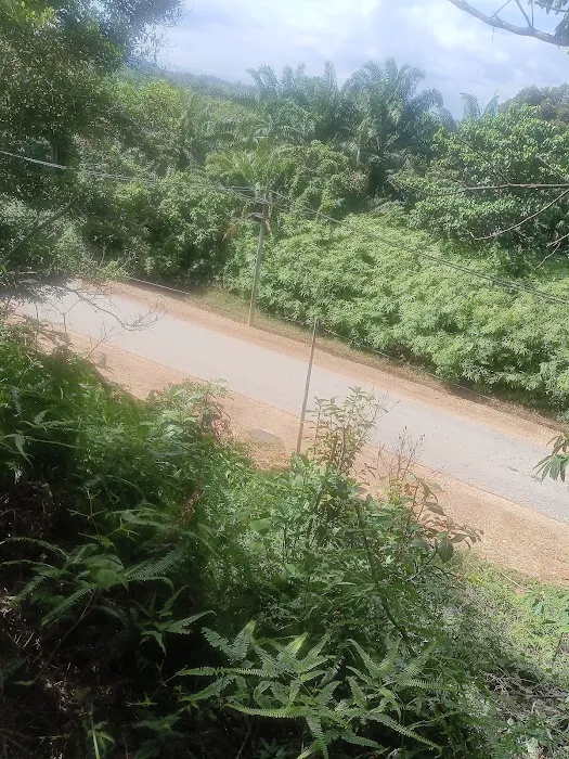 Ladang Ghani 6 Picture 2