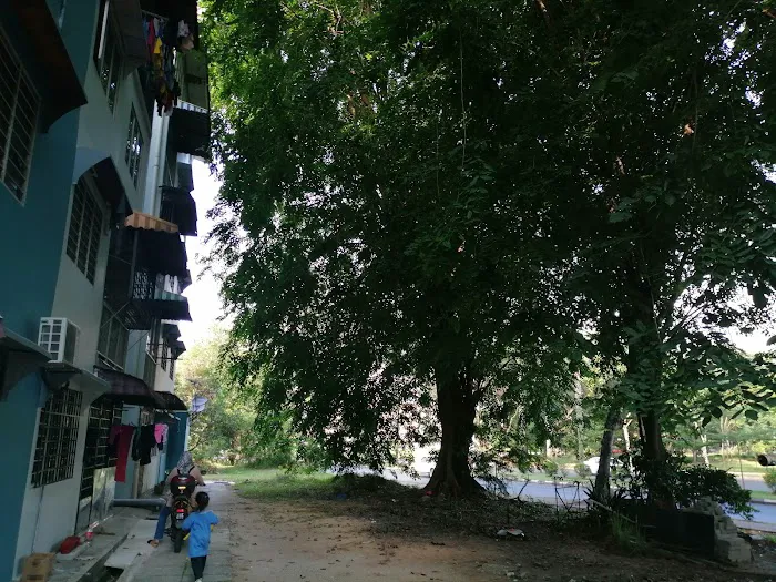 Blok 10 Jalan pinang siri Picture 1