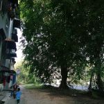 Blok 10 Jalan pinang siri
