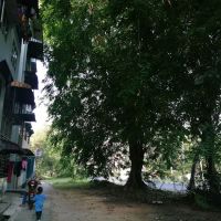 Blok 10 Jalan pinang siri ico