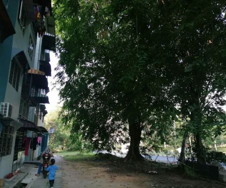Blok 10 Jalan pinang siri