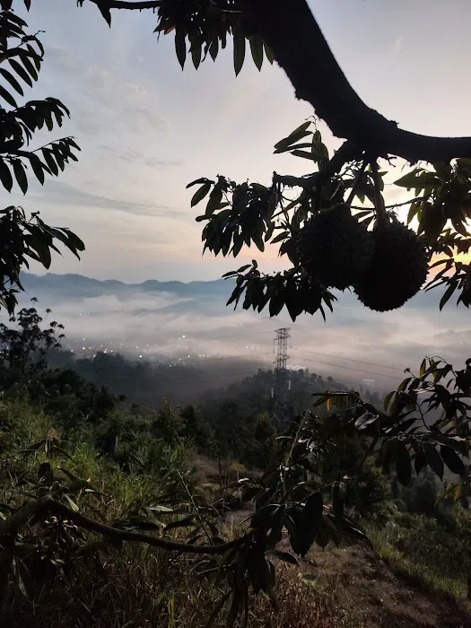 Bukit Desa Damai Hiking Trail Haus Farm Picture 4
