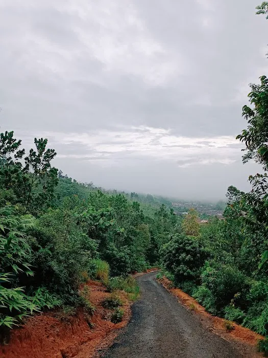 Bukit Desa Damai Hiking Trail Haus Farm Picture 3
