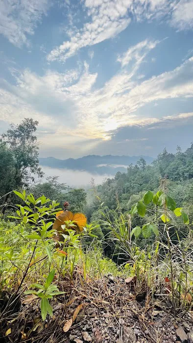 Bukit Desa Damai Hiking Trail Haus Farm Picture 10