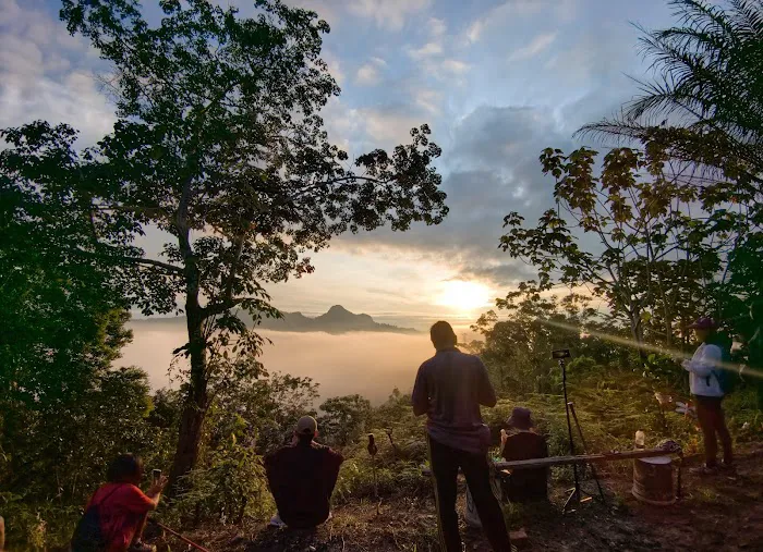 Bukit Awan Karpet Trailhead Picture 3