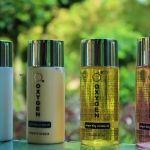 MY COCONUT COLLECTIVES