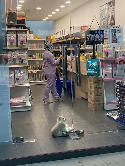 My Urban Pet Shop Picture 4