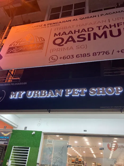 My Urban Pet Shop Picture 5