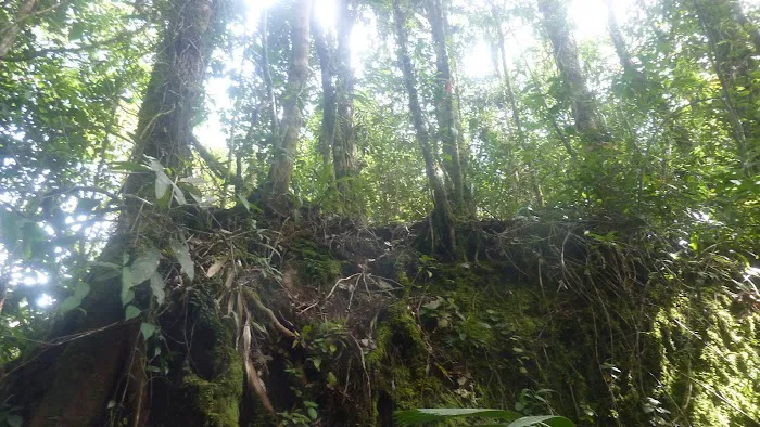 Gunung Bt. Bujang Picture 1