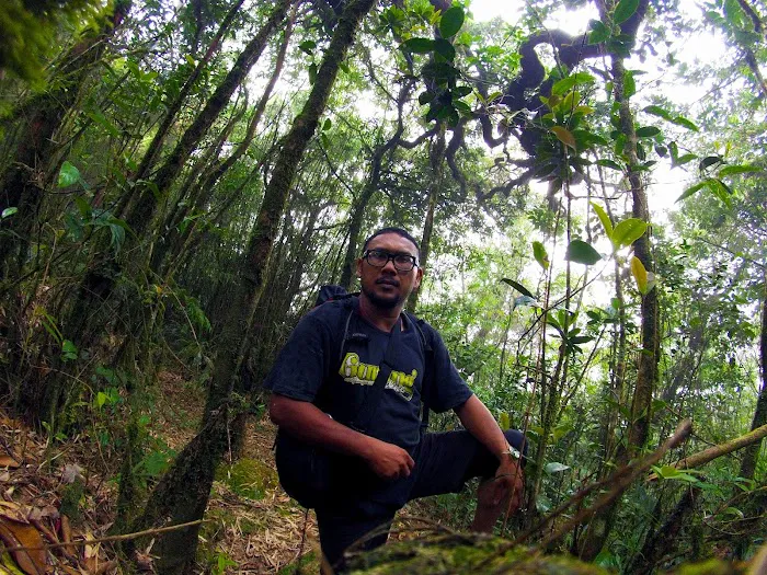 Gunung Bt. Bujang Picture 8