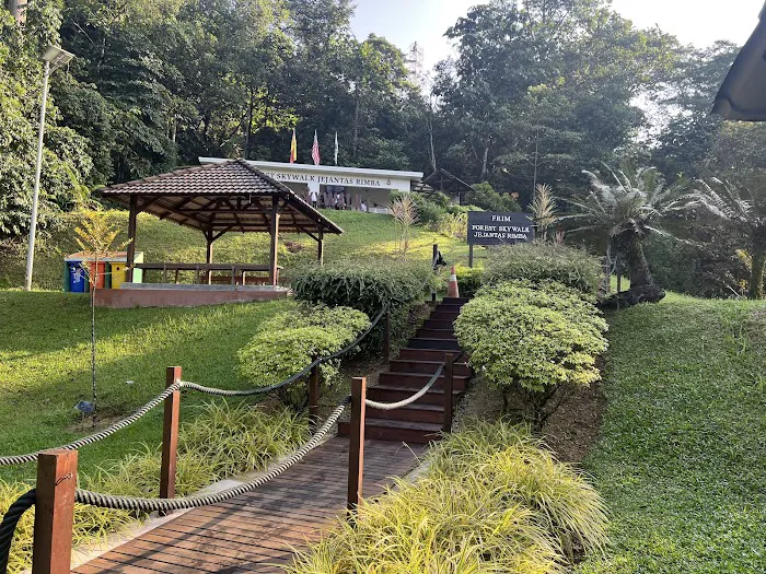 Forest Skywalk - FRIM Picture 3