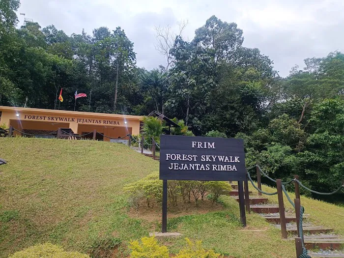 Forest Skywalk - FRIM Picture 7