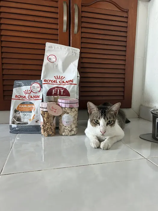 Petico.my Pet Shop Prima Sri Gombak Picture 7