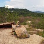 Mozzie Trail