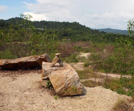 Mozzie Trail