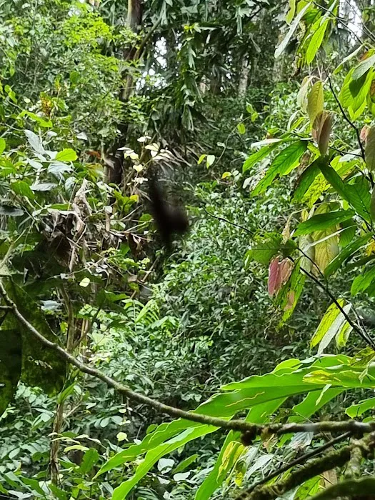 Maxwell (leech) Trail Picture 9