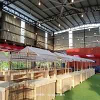 EcoSega Park ico