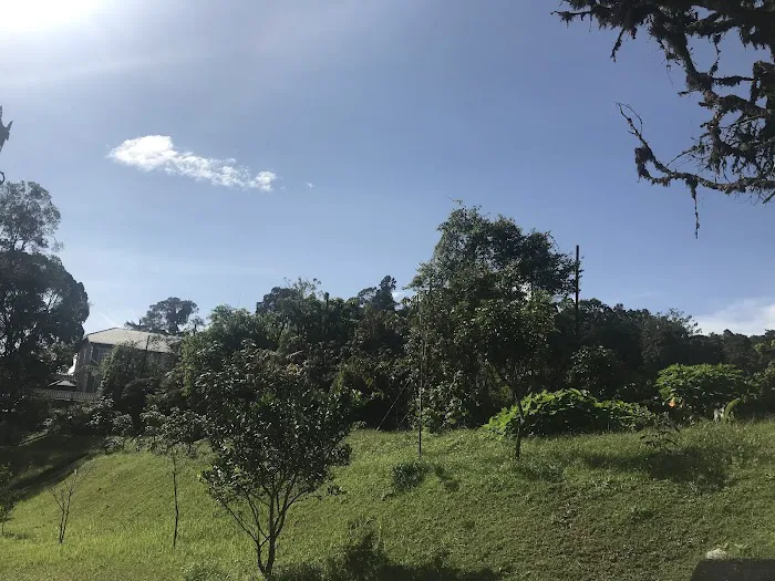 Istana Pelangi Picture 2
