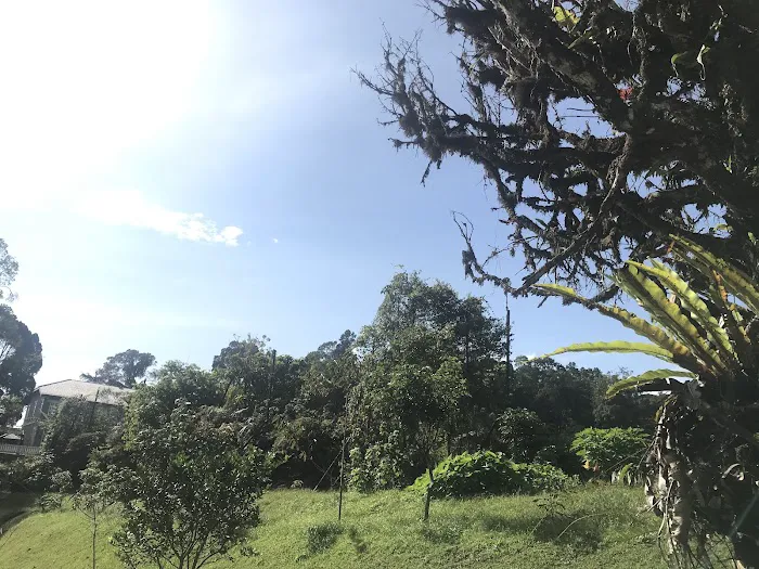 Istana Pelangi Picture 3