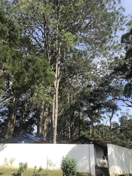Istana Pelangi Picture 8