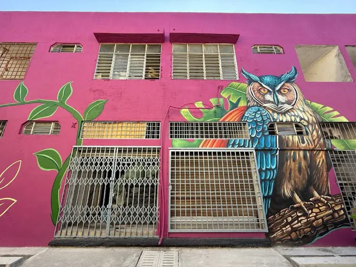 Beringin Street Art Picture 3