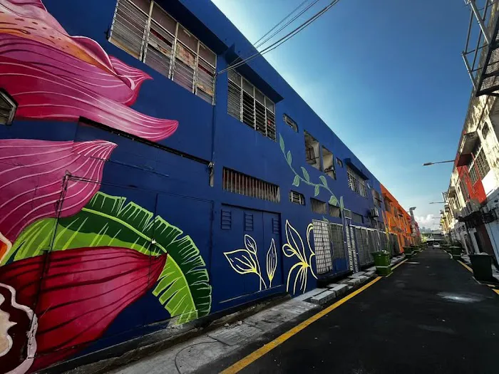 Beringin Street Art Picture 2