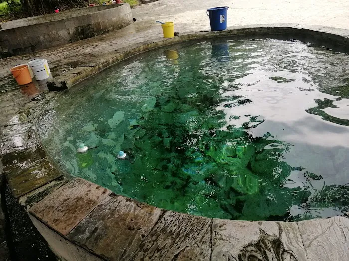 Selayang Hot Spring Pool Picture 3