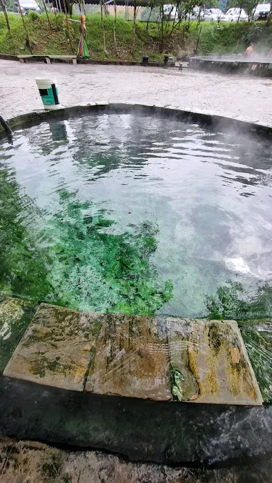 Selayang Hot Spring Pool Picture 8
