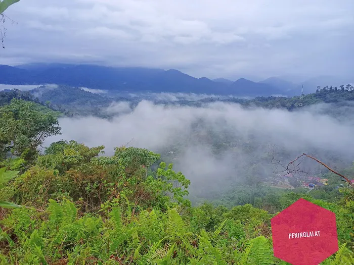 Bukit sungai langsat kampung berau ulu cheka Picture 2