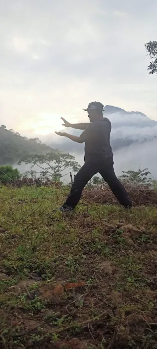 Bukit sungai langsat kampung berau ulu cheka Picture 1