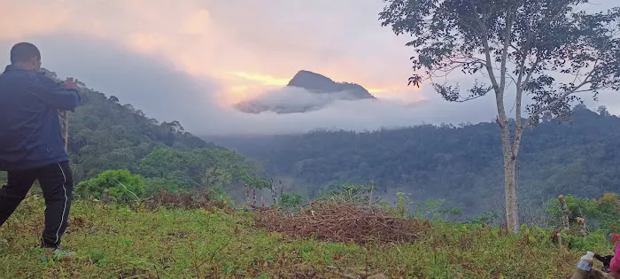 Bukit sungai langsat kampung berau ulu cheka Picture 3