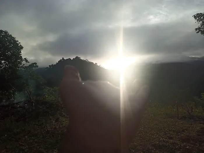 Bukit sungai langsat kampung berau ulu cheka Picture 7