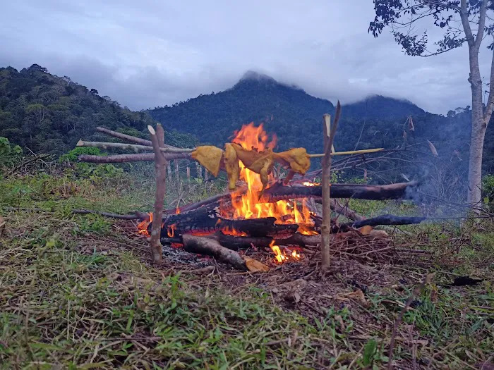 Bukit sungai langsat kampung berau ulu cheka Picture 6