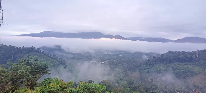Bukit sungai langsat kampung berau ulu cheka Picture 5