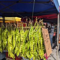 Pasar Pagi Ahad Greenwood ico