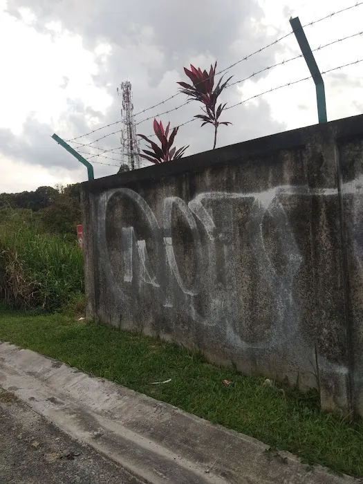 AdaBran Graffiti Wall Picture 2