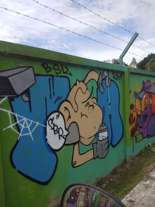 AdaBran Graffiti Wall Picture 6