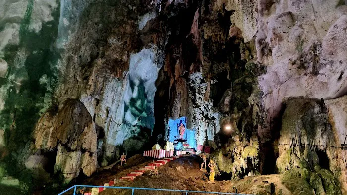 Dark Cave Conservation Site Picture 5
