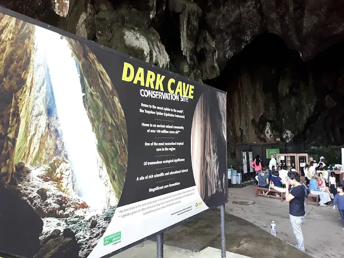 Dark Cave Conservation Site Picture 10