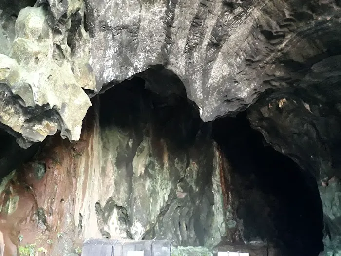 Dark Cave Conservation Site Picture 9