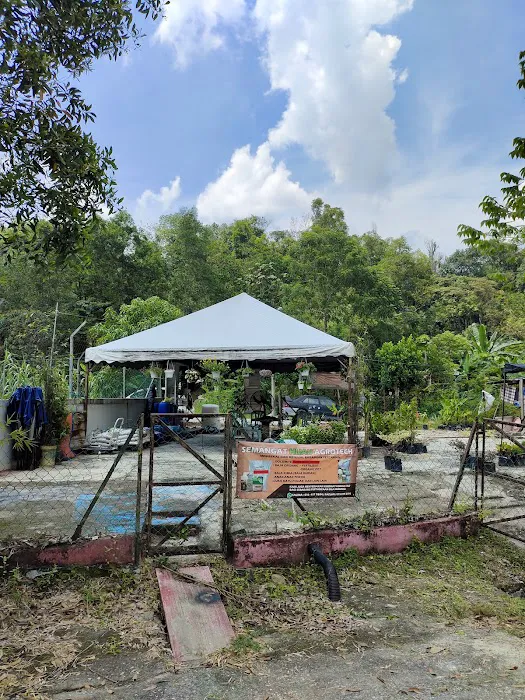 NUSERI SEMANGAT HIJAU AGROTECT Picture 1